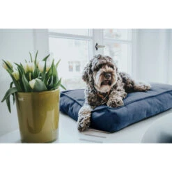 HUNTER Merida Orthopädisches Hundekissen - 50x75 Cm - Royalblau 9 HUNTER Merida Orthopädisches Hundekissen - 50x75 Cm - Royalblau -Westwing Shop 444638 big 4